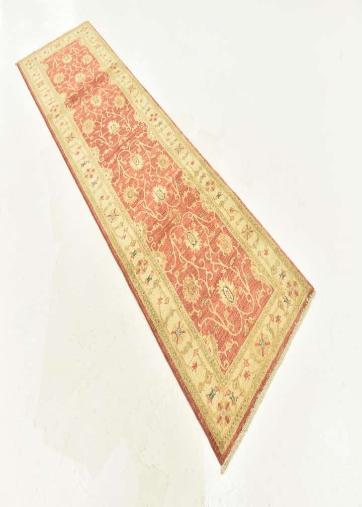 2' 8 x 9' 2 Hand Knotted Peshawar Ziegler Runner Rug