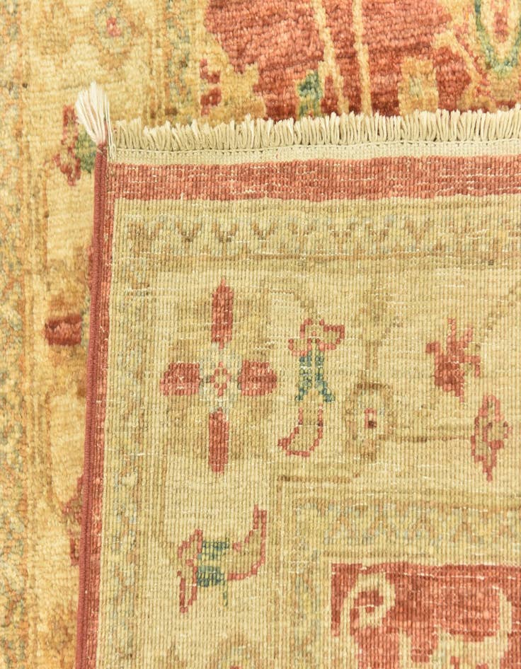 Detail image of 2' 8 x 9' 6  Hand Knotted Peshawar Ziegler Runner Rug