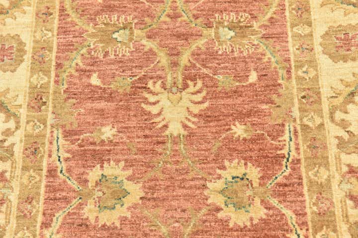 2' 8 x 9' 8 Hand Knotted Peshawar Ziegler Runner Rug