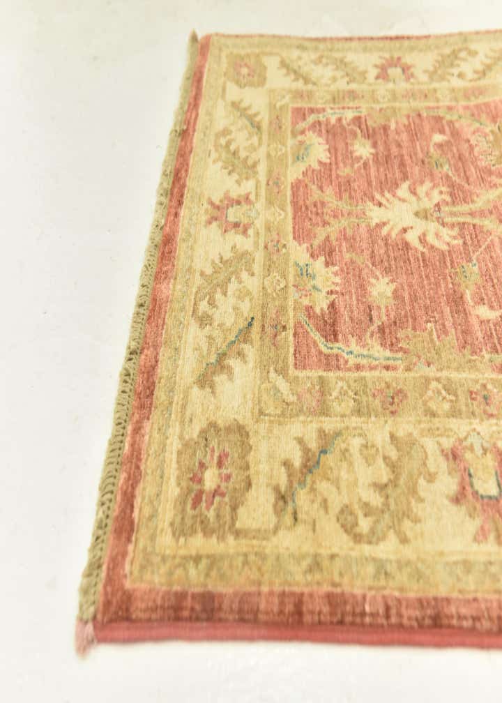 2' 8 x 9' 8 Hand Knotted Peshawar Ziegler Runner Rug