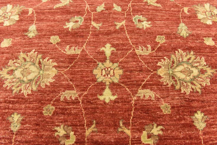 Detail image of 4' 10 x 19' 3 Hand Knotted Peshawar Ziegler Runner Rug