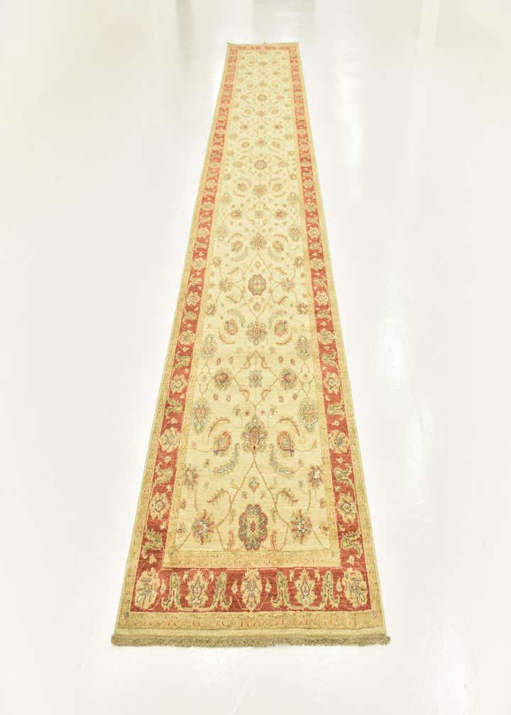 3' 10 x 17' 5 Hand Knotted Peshawar Ziegler Runner Rug