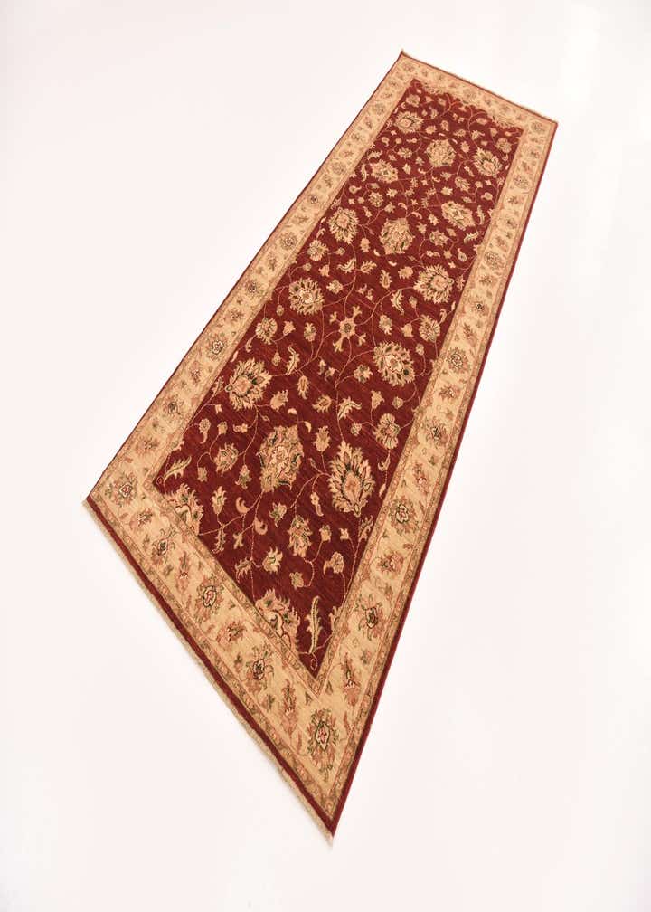 4' x 9' 8 Hand Knotted Peshawar Ziegler Runner Rug