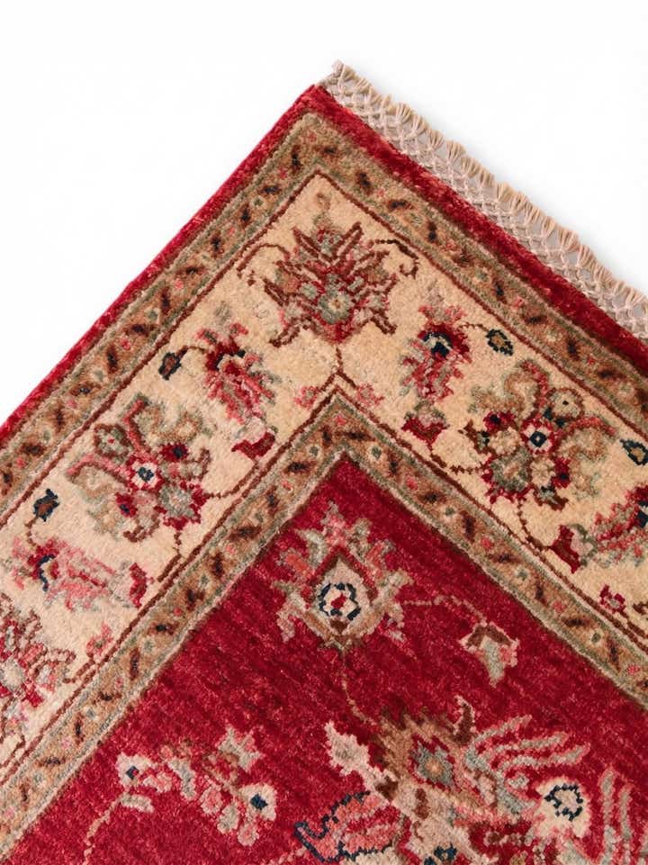 2' 10 x 10' 2 Hand Knotted Peshawar Ziegler Runner Rug