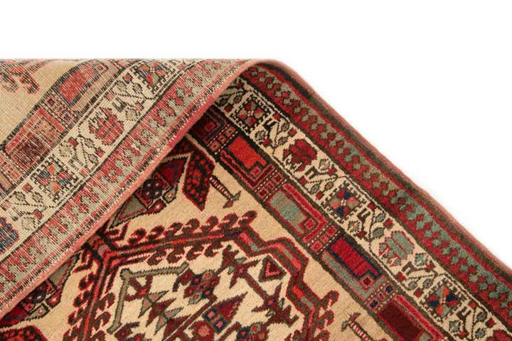 3' 3 x 10' 8 Sarab Runner Rug