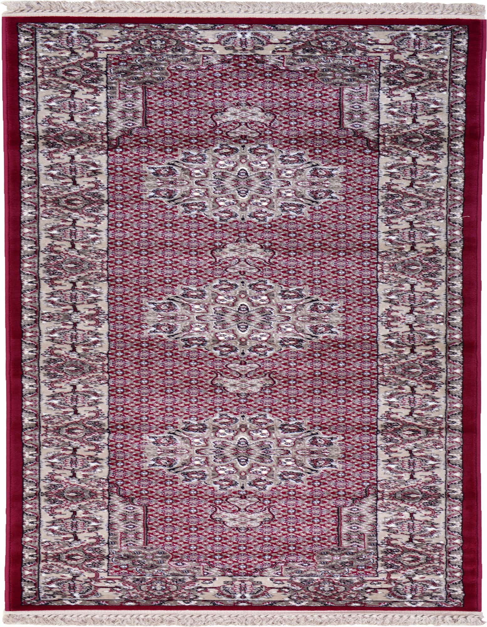 2' 7 x 10' Shahmir Runner Rug