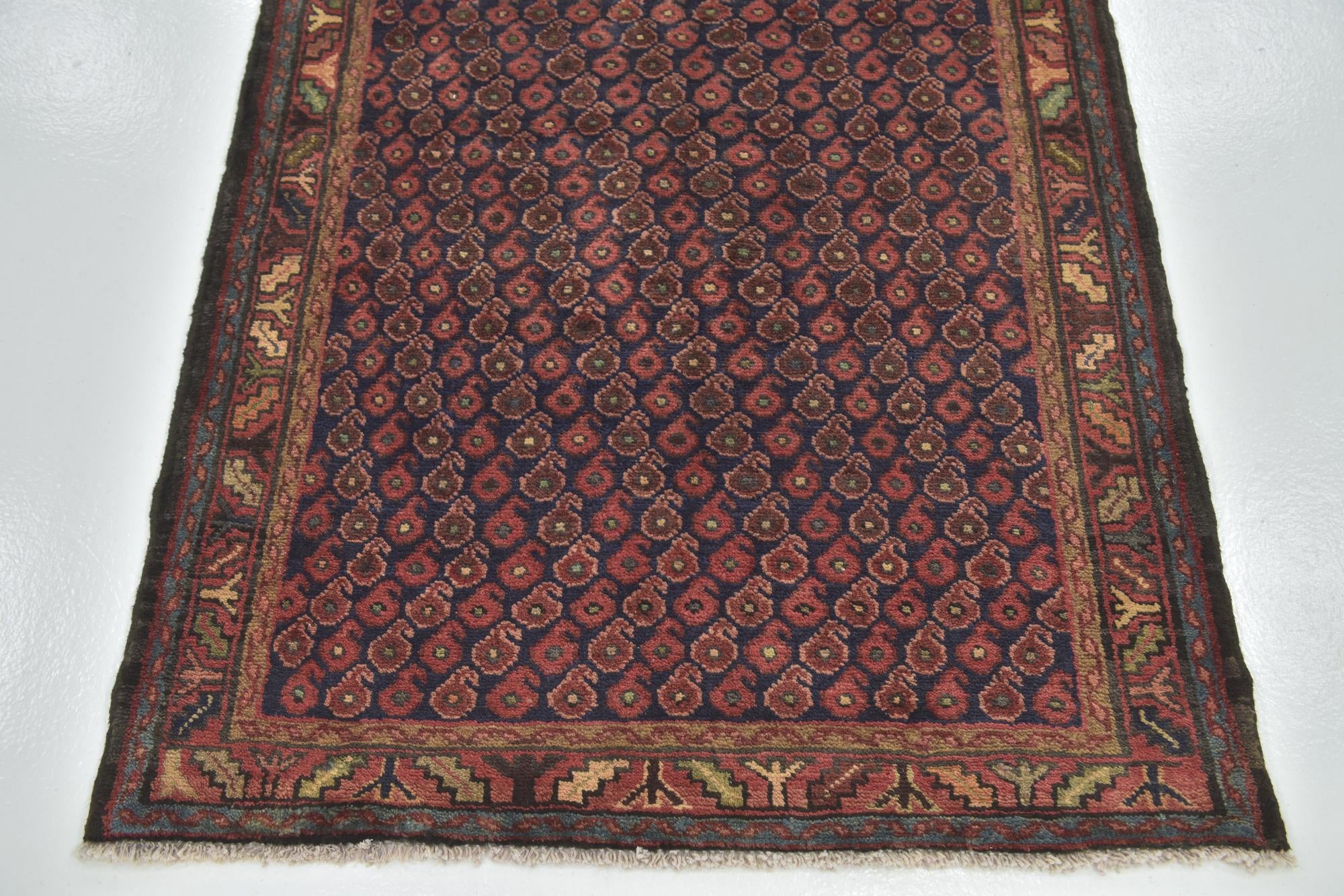 3' 7 x 10' Hand Knotted Shahsavand Persian Wool Runner Rug