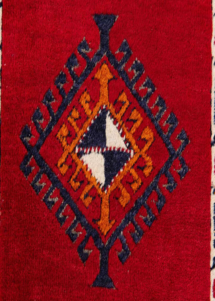 2' 7 x 9' 10 Hand Knotted Shiraz Wool Runner Rug