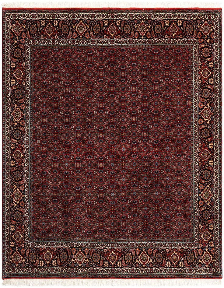 Detail image of 6' 8 x 6' 8 Bidjar Wool Square Rug