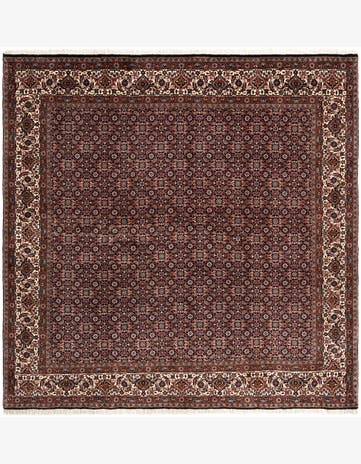 6' 9 x 6' 9 Bidjar Wool Square Rug