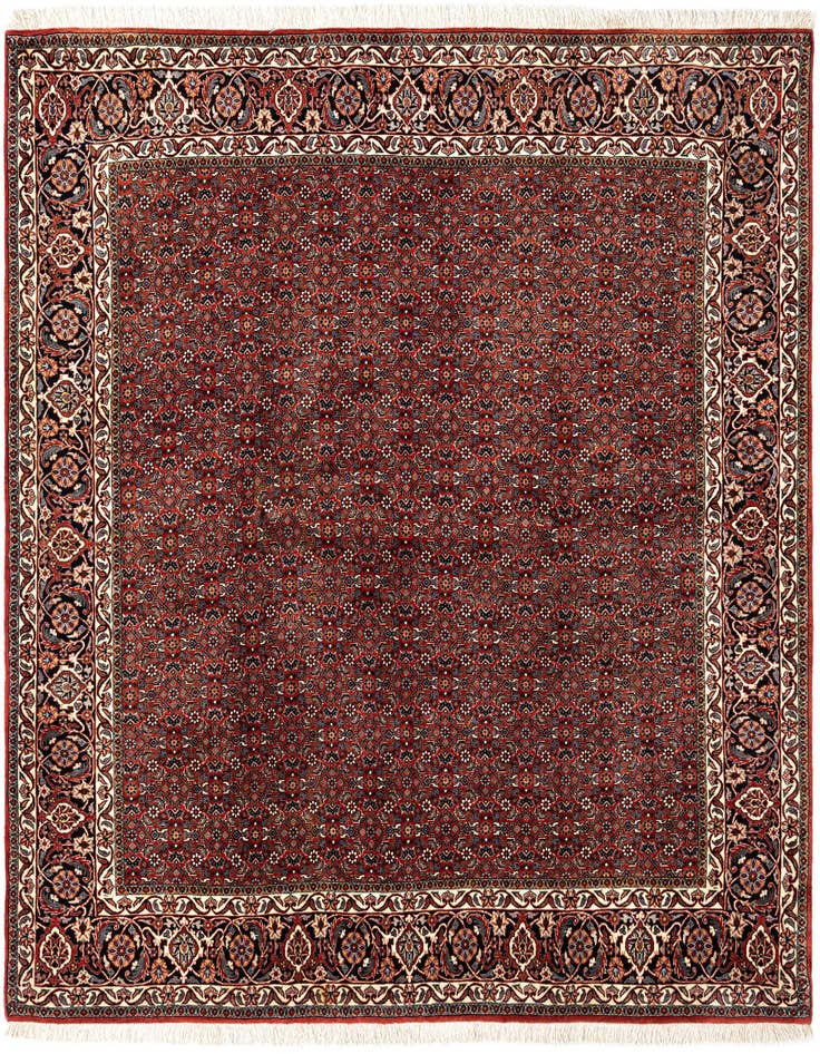 Detail image of 6' 9 x 7' 1 Bidjar Wool Square Rug