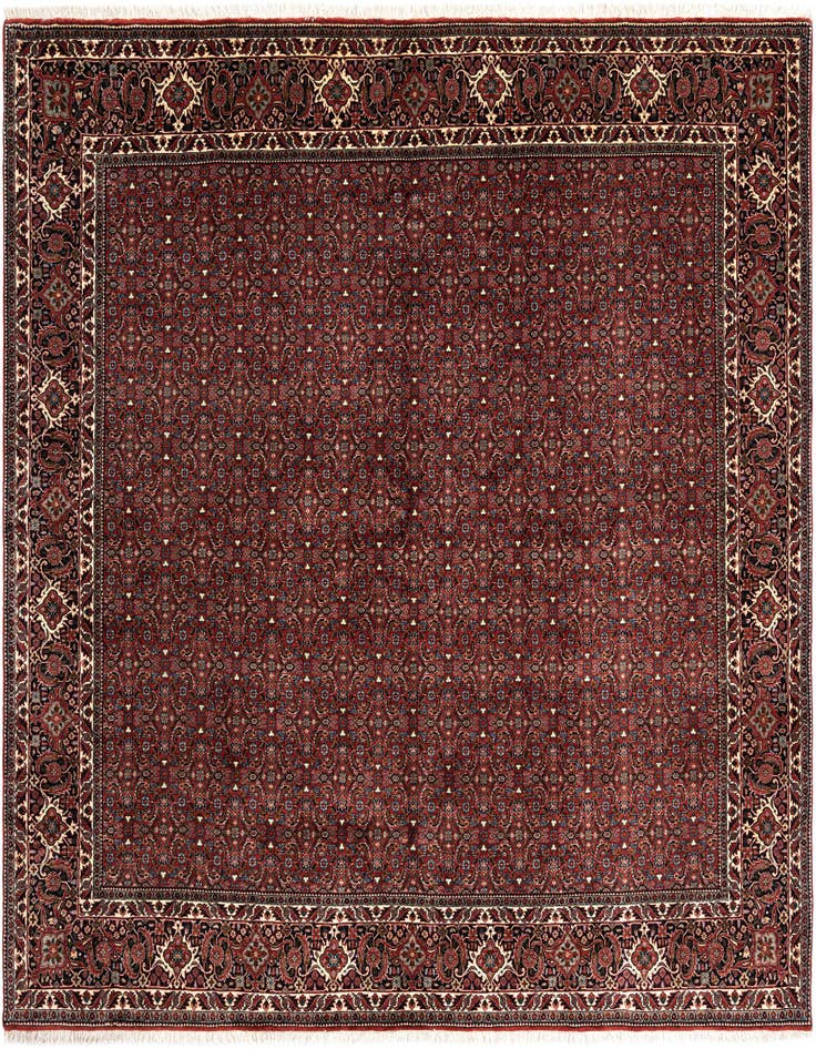 Detail image of 8' 4 x 8' 4 Bidjar Wool Square Rug