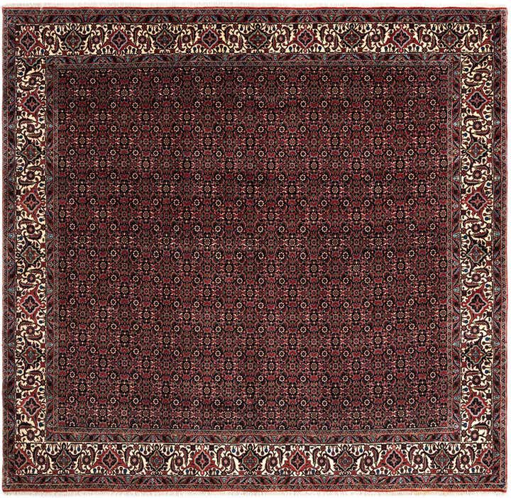 8' x 8' 3 Bidjar Wool Square Rug