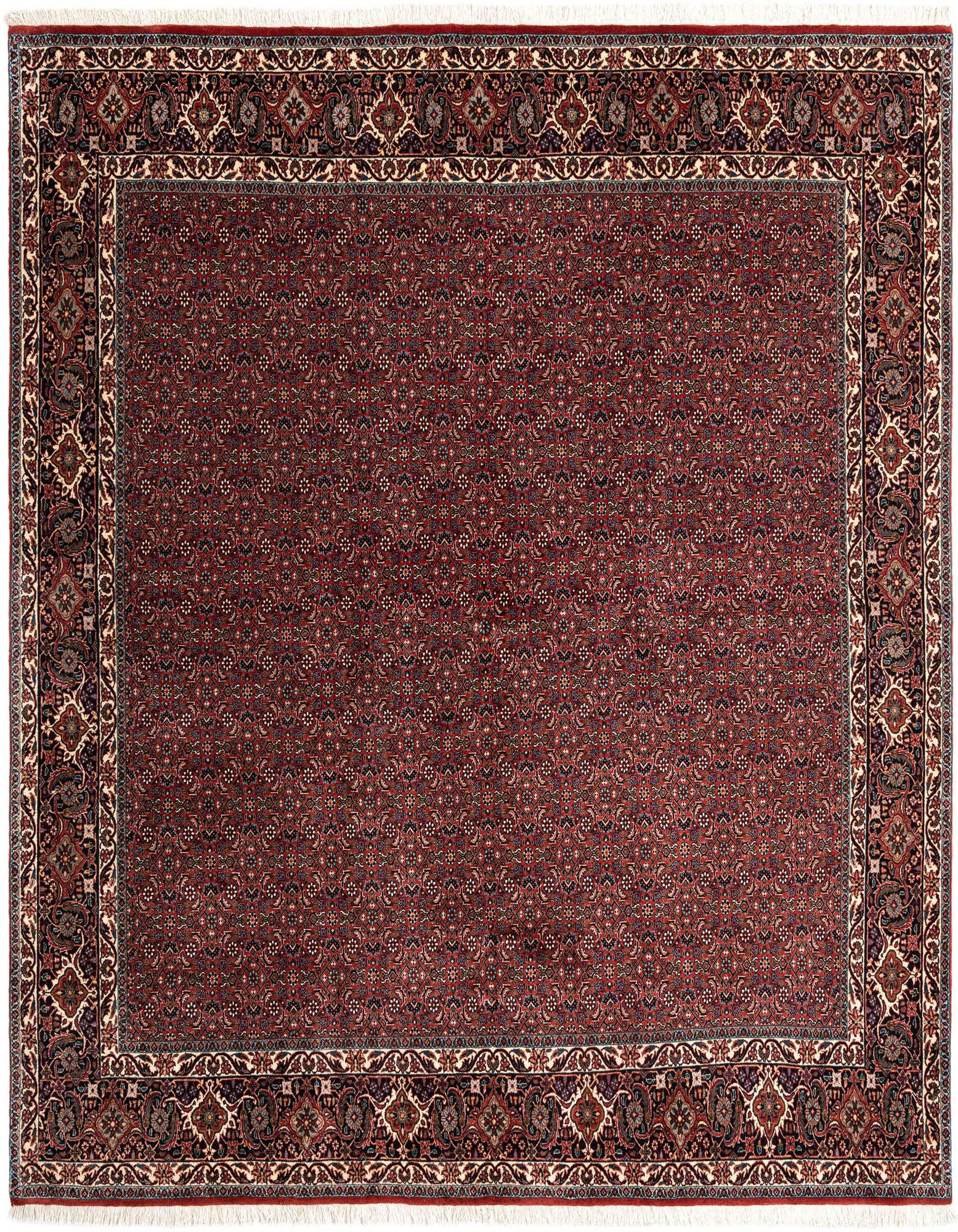 8' 2 x 8' 3 Bidjar Wool Square Rug