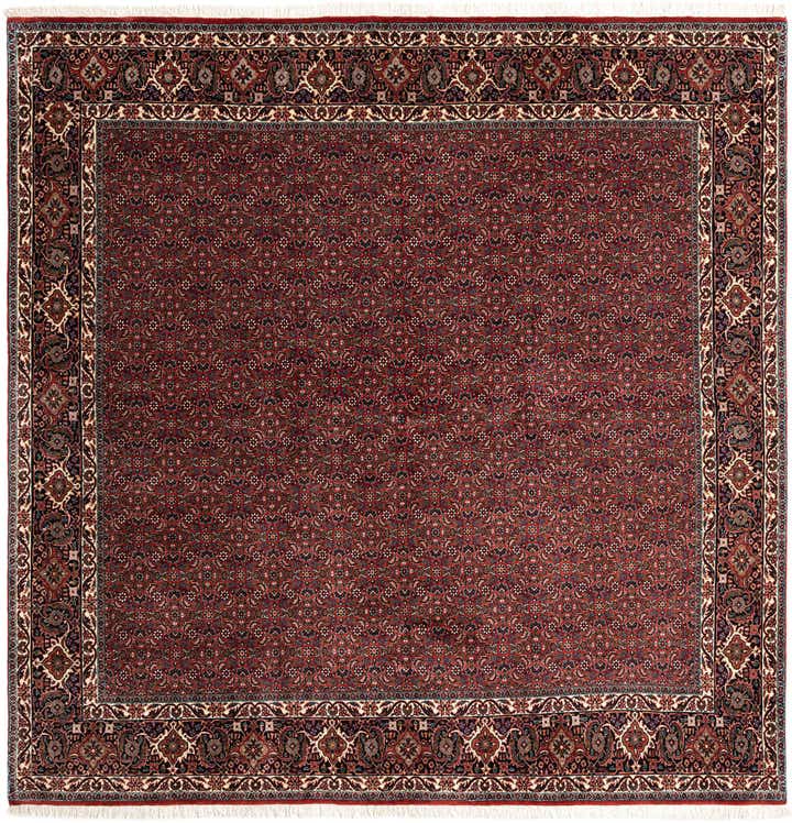 8' 2 x 8' 3 Bidjar Wool Square Rug