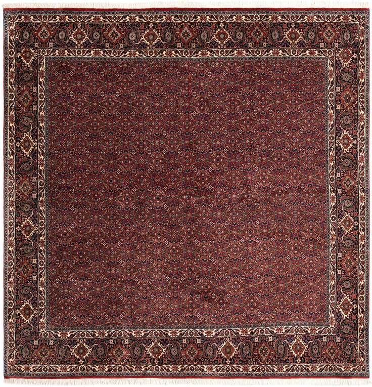 Detail image of 8' 2 x 8' 3 Bidjar Wool Square Rug