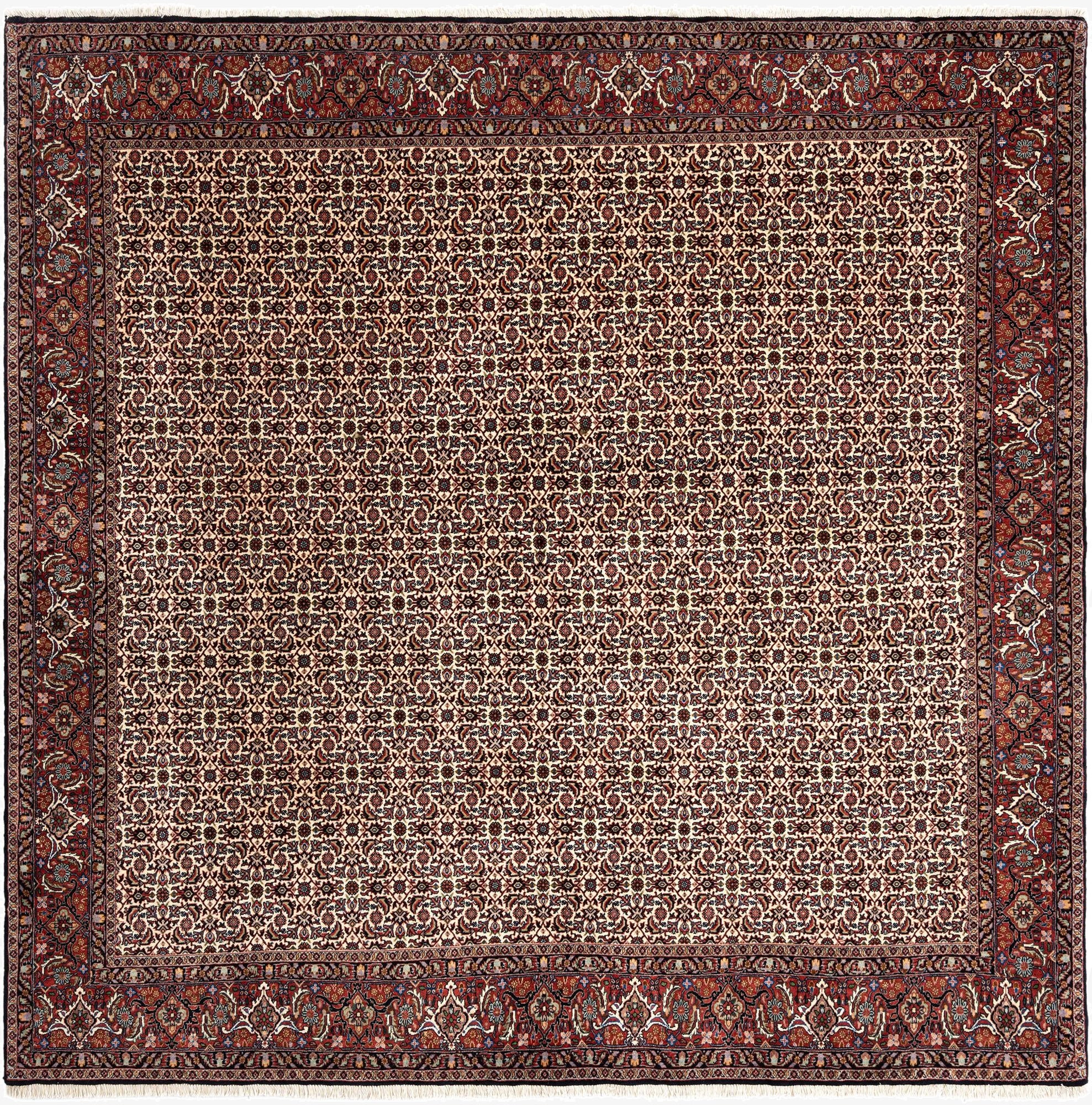 8' x 8' 3 Bidjar Wool Square Rug