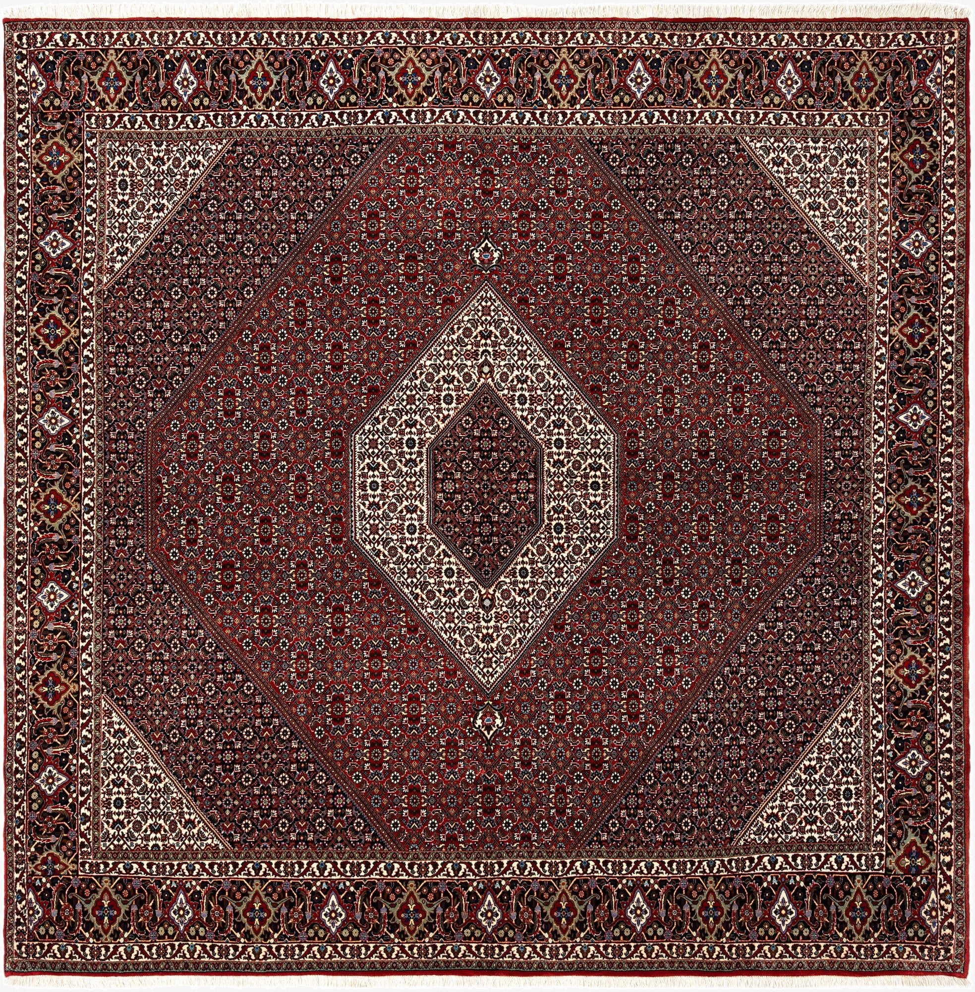 8' 5 x 8' 5 Bidjar Wool Square Rug