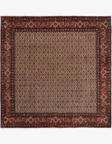 8' 5 x 8' 6 Bidjar Wool Square Rug
