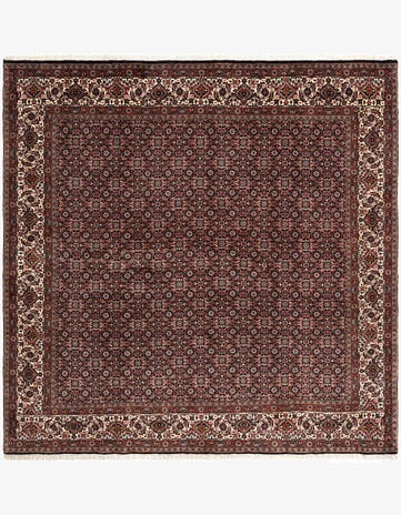6' 9 x 6' 9 Bidjar Wool Square Rug