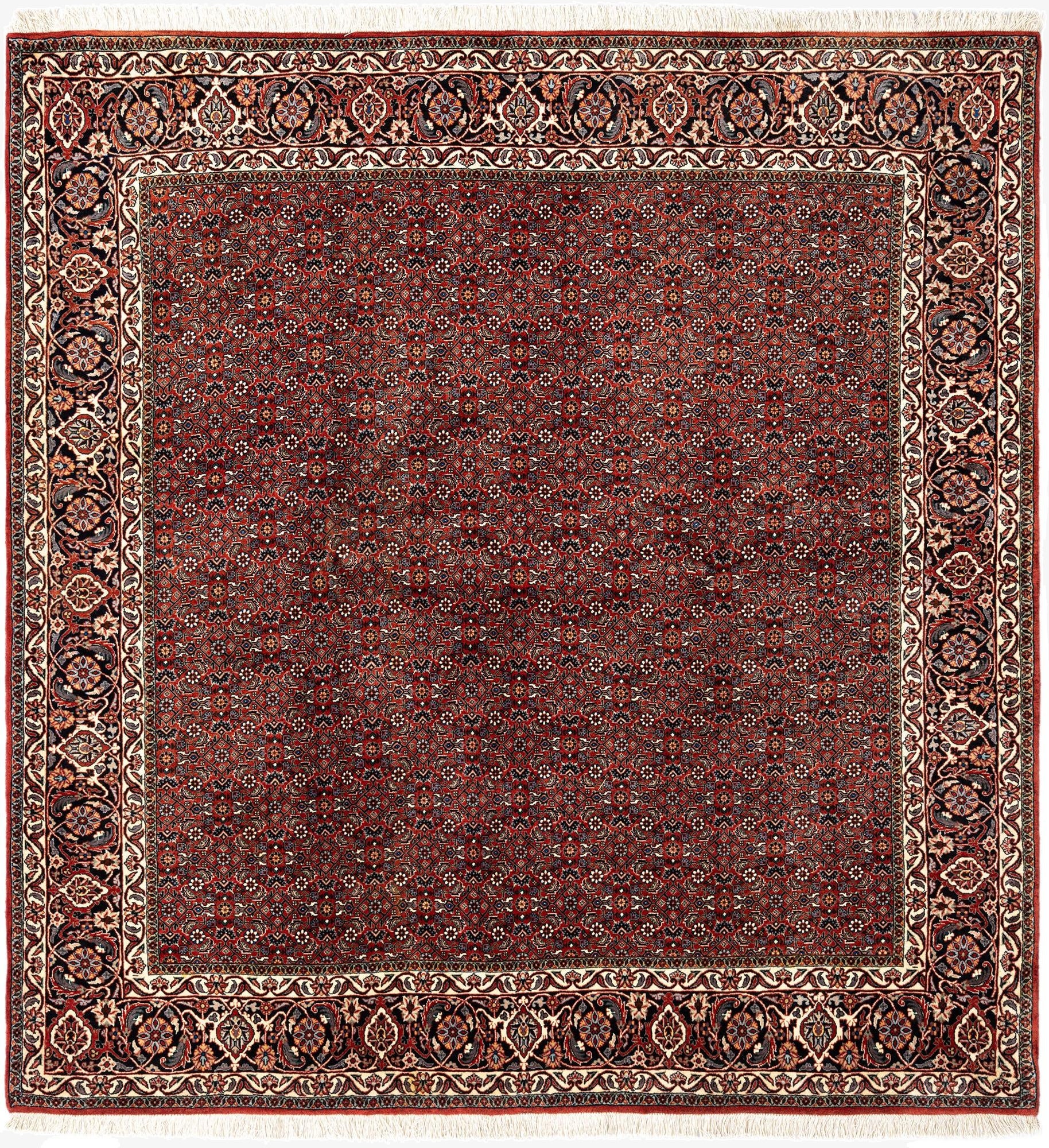 6' 9 x 7' 1 Bidjar Wool Square Rug