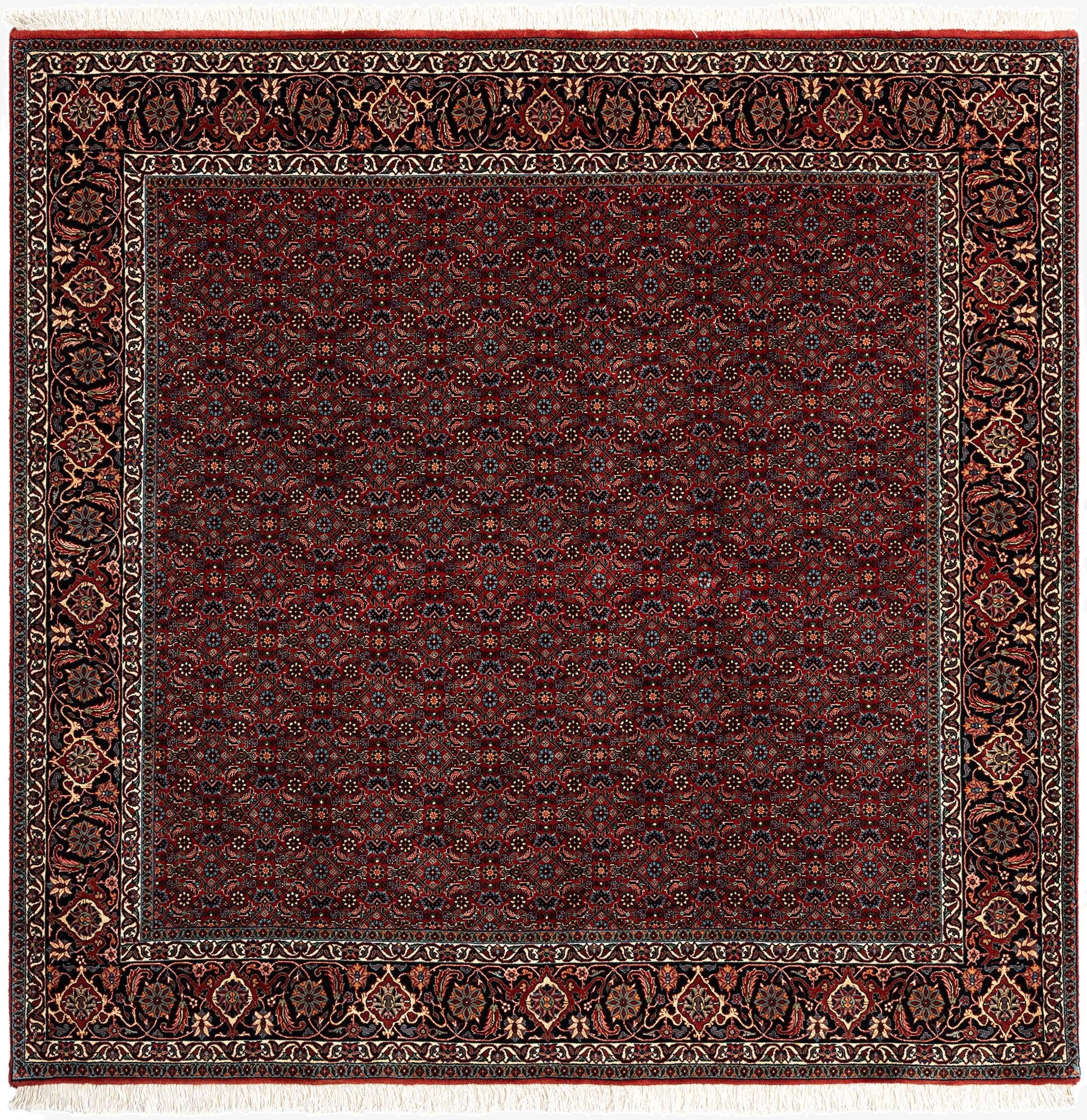 6' 8 x 6' 8 Bidjar Wool Square Rug
