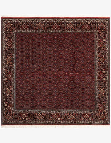 6' 8 x 6' 8 Bidjar Wool Square Rug