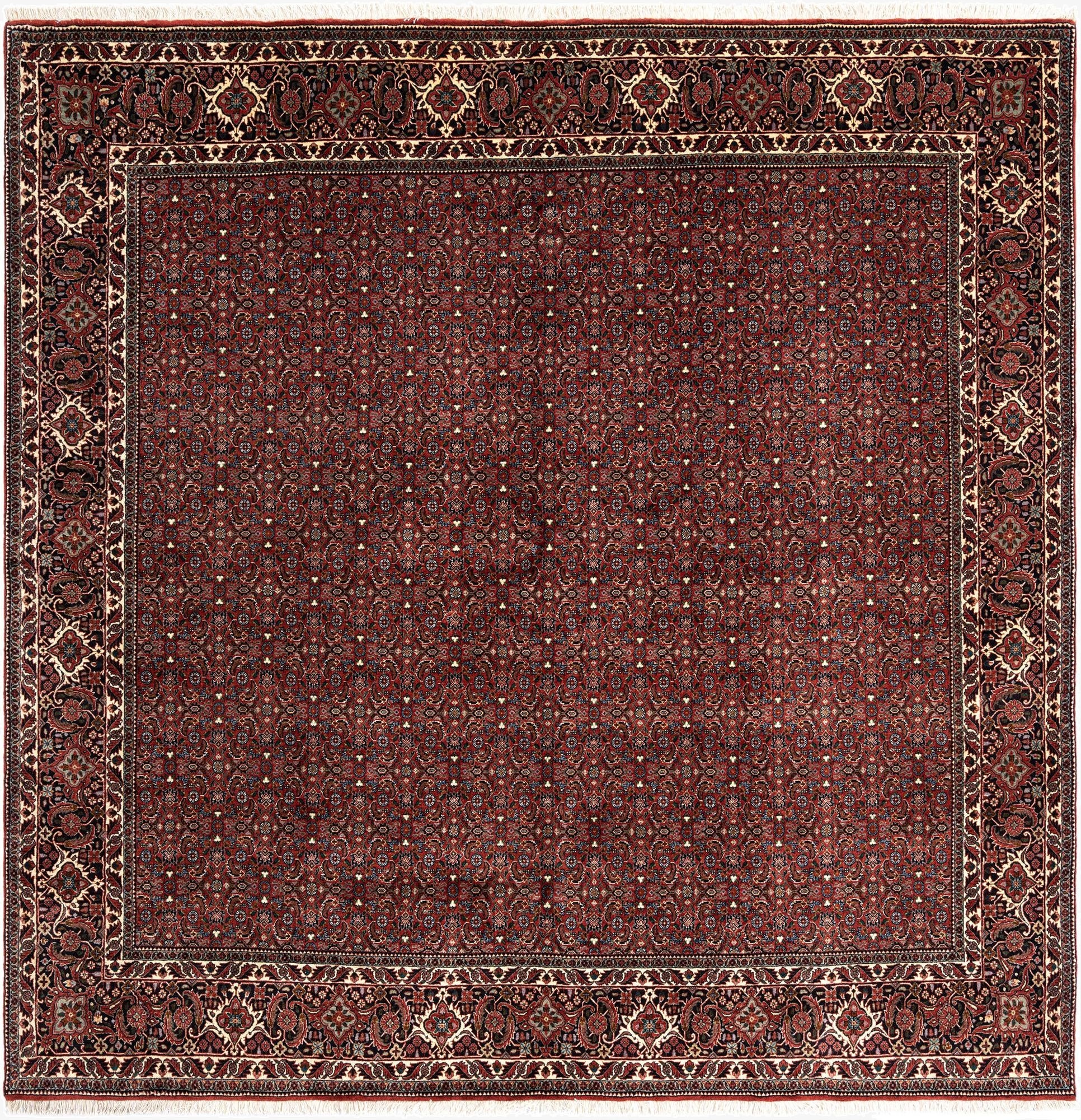 8' 4 x 8' 4 Bidjar Wool Square Rug