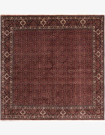 8' 4 x 8' 4 Bidjar Wool Square Rug