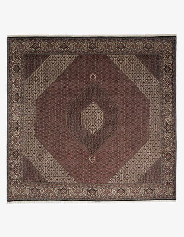 9' 6 x 9' 10 Bidjar Wool Square Rug