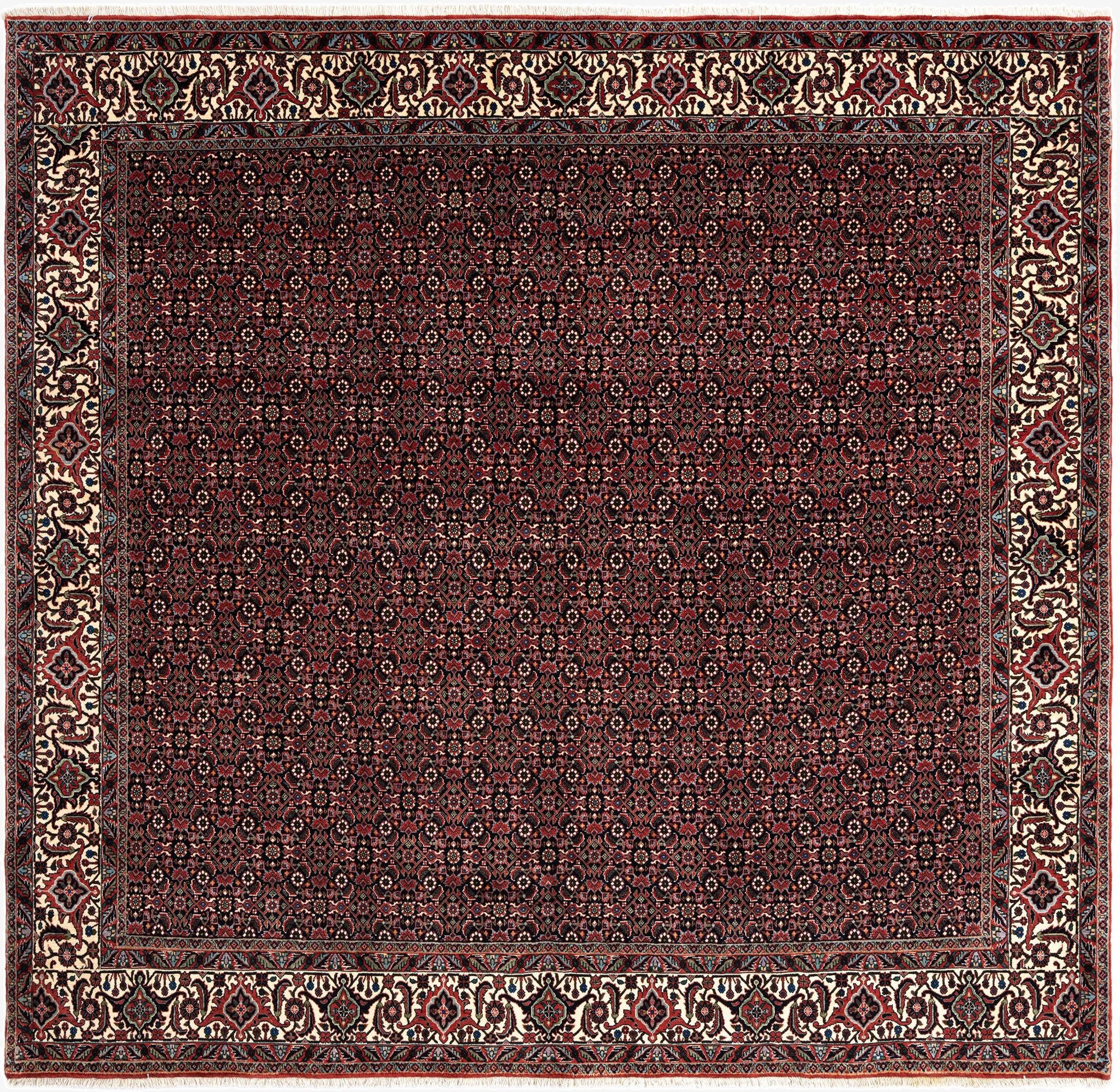 8' x 8' 3 Bidjar Wool Square Rug
