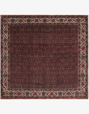 8' x 8' 3 Bidjar Wool Square Rug