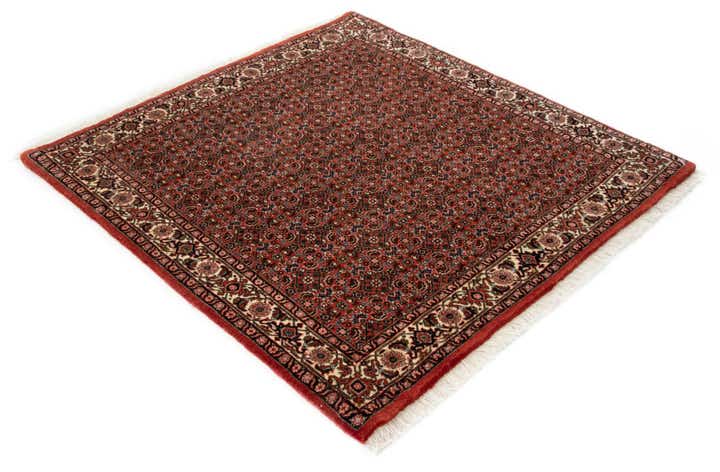 3' 9 x 3' 9 Bidjar With Silk Square Rug