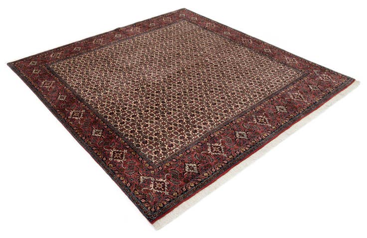 Detail image of 6' 8 x 6' 9 Bidjar With Silk Square Rug