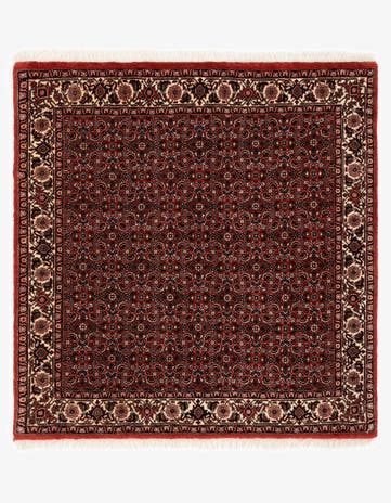 3' 9 x 3' 9 Bidjar With Silk Square Rug