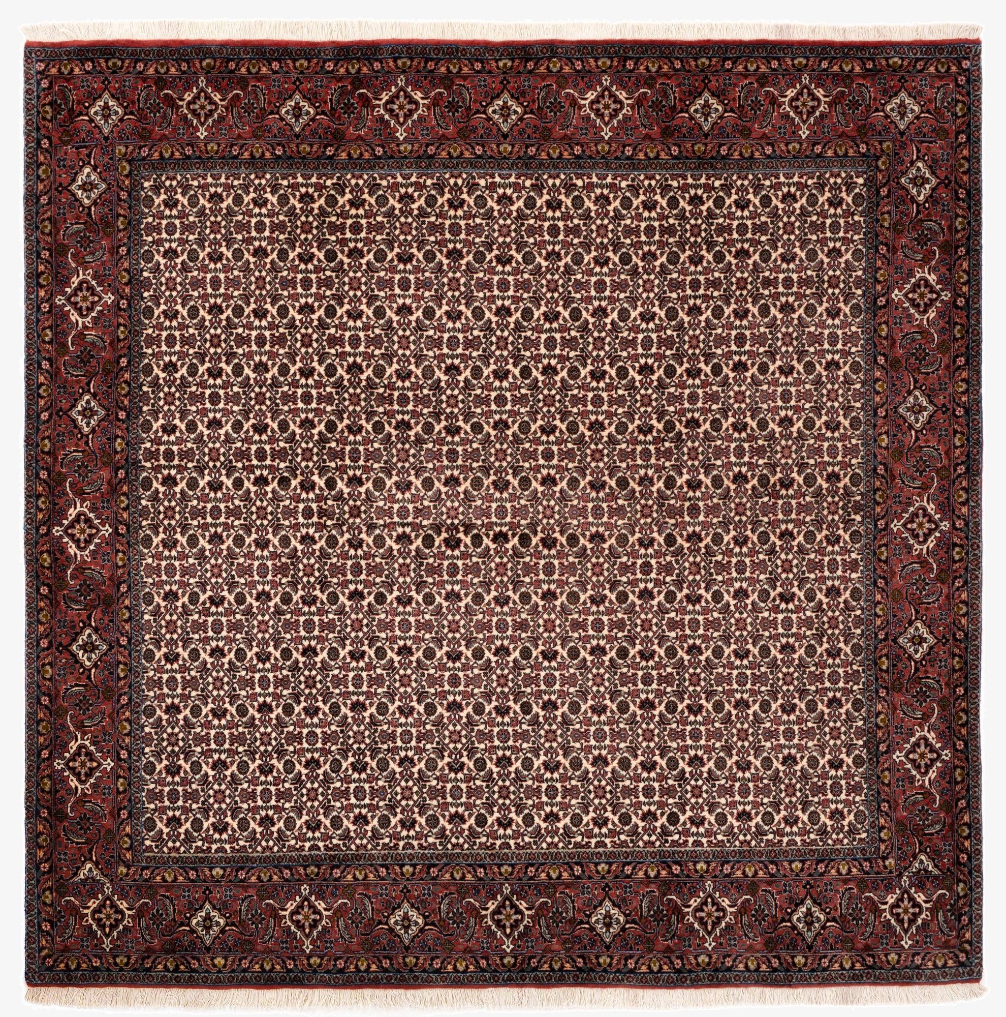 6' 8 x 6' 9 Bidjar With Silk Square Rug