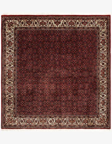 6' 8 x 6' 10 Bidjar With Silk Square Rug