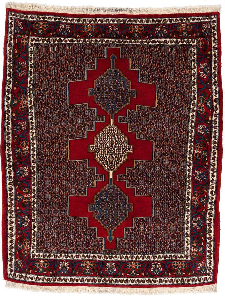 3' 11 x 4' 11 Senneh Square Rug
