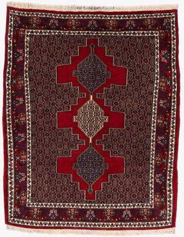 3' 11 x 4' 11 Senneh Square Rug