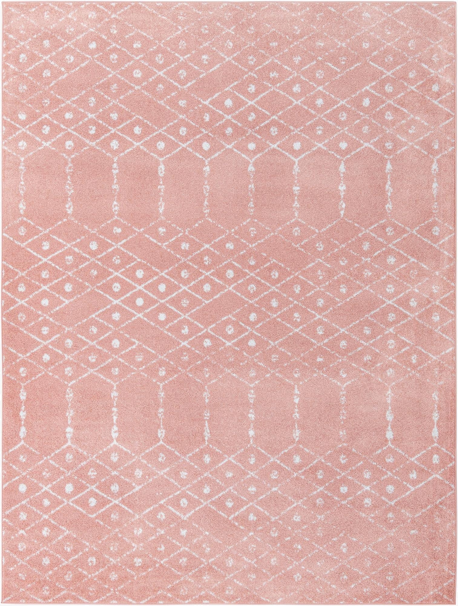 Primary image 9' x 12' Paxon Trellis Rug