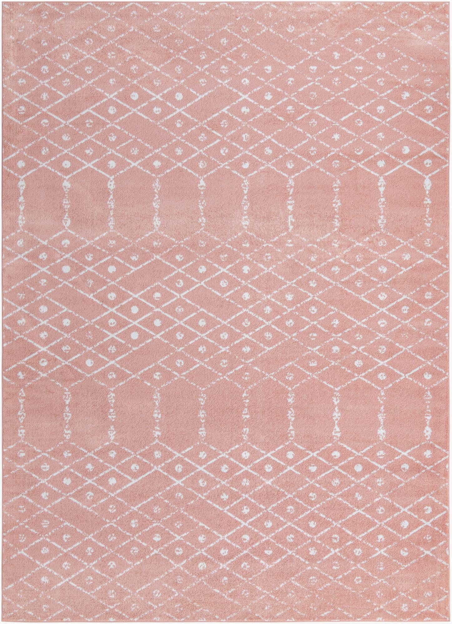 Primary image 10' x 14' Paxon Trellis Rug