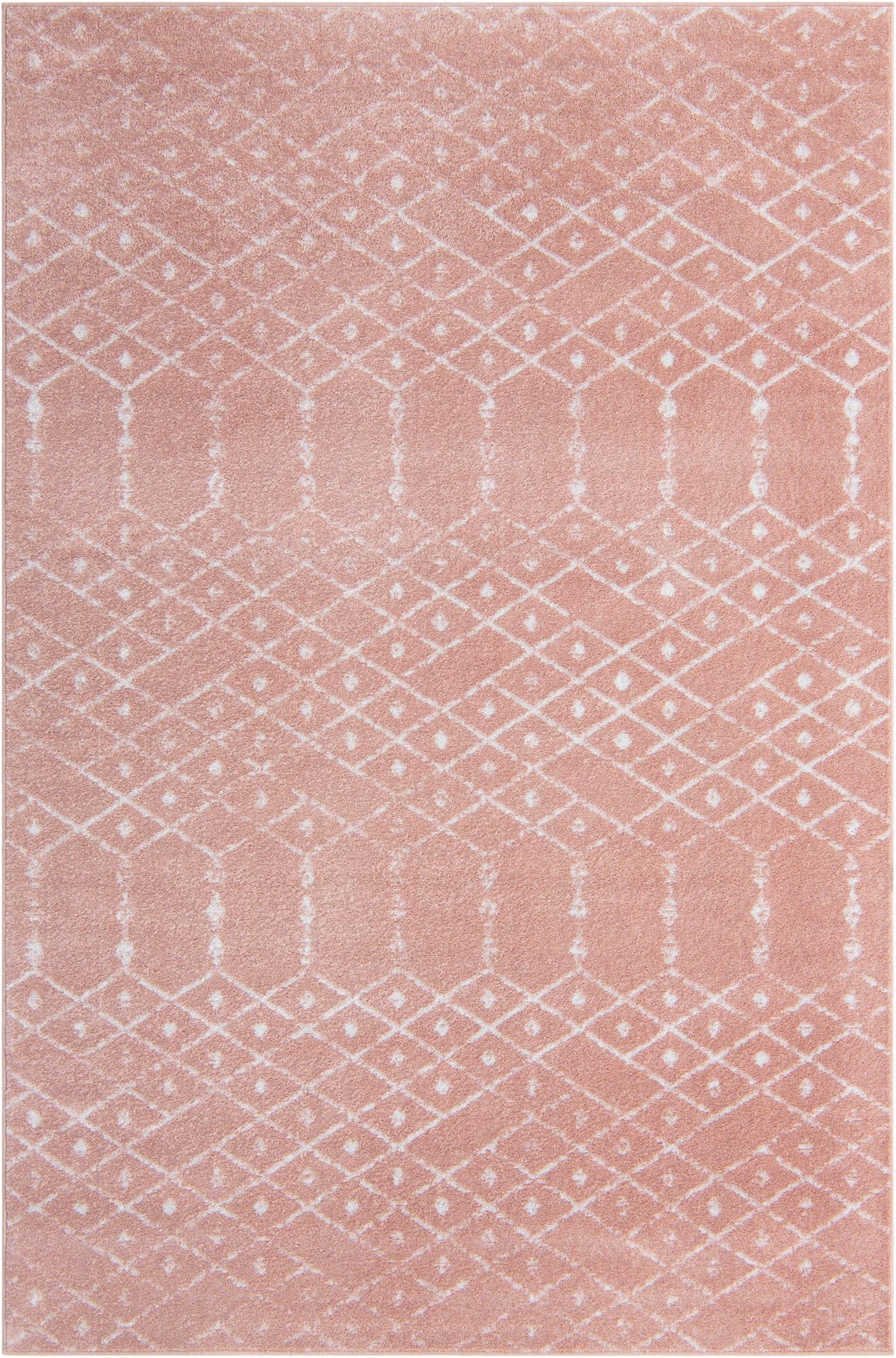 Primary image 6' x 9' Paxon Trellis Rug