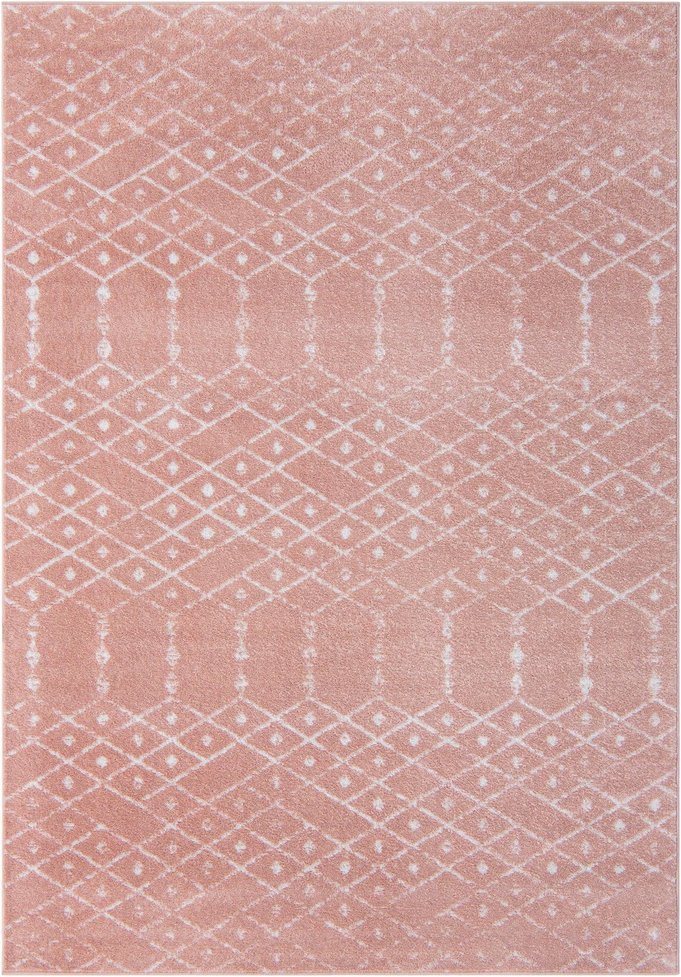 7' x 10' Paxon Trellis Rug