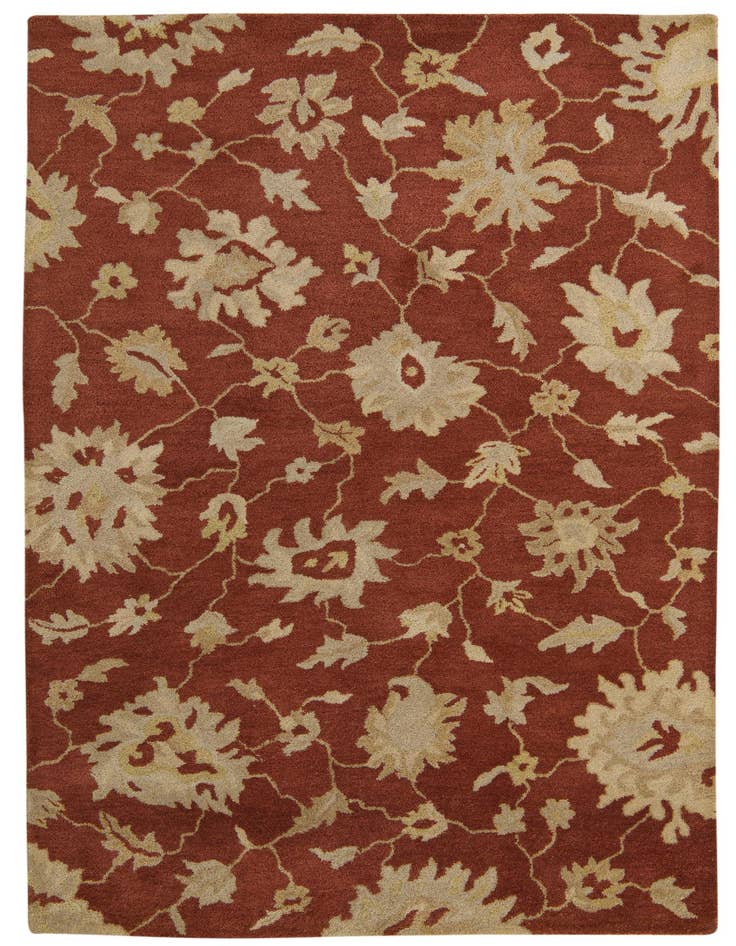 Detail image of 5' x 7' 10 Agra Rug