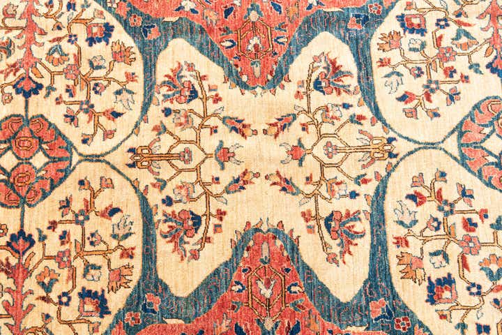 6' 8 x 9' 10 Hand Knotted Ariana Ziegler Oriental Rug
