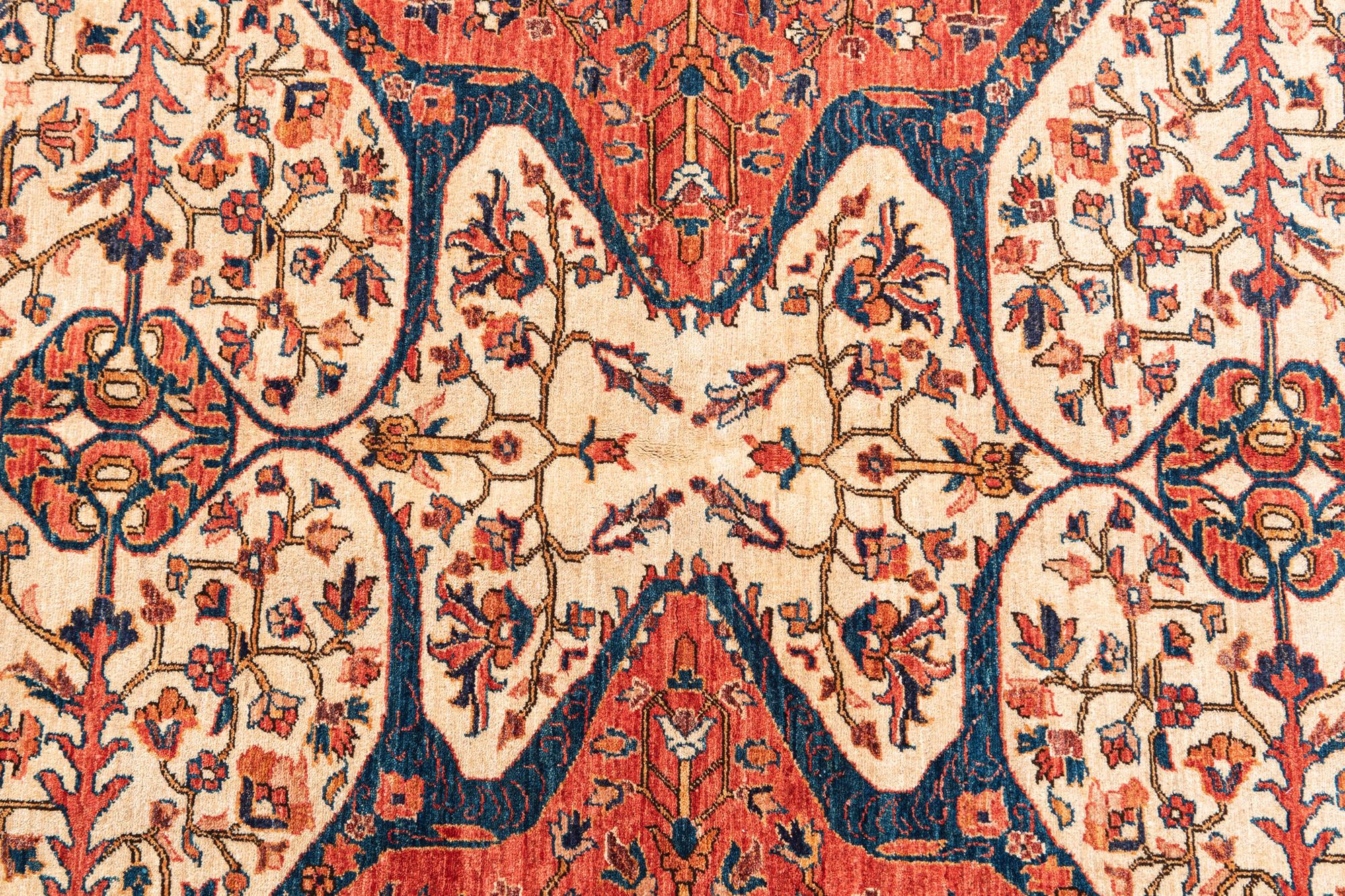 5' 6 x 7' 8 Hand Knotted Ariana Ziegler Oriental Rug