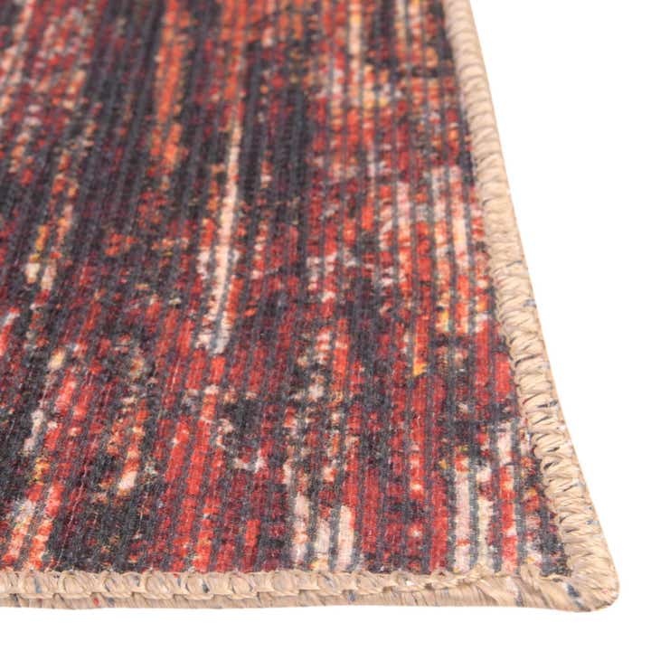 4' x 6' Asha Rug