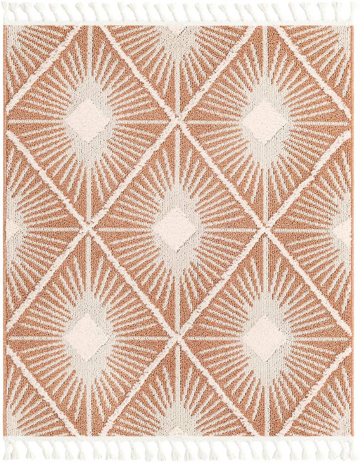 Detail image of 4' x 6' Boho Rug