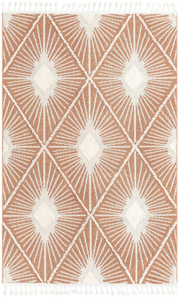 5' 3 x 8' Boho Rug