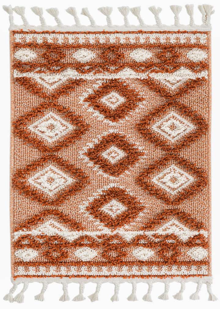2' x 3' Boho Rug